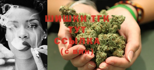 ГАЛЛЮЦИНОГЕННЫЕ ГРИБЫ Алексин