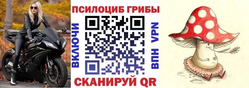 Псилоцибиновые грибы Magic Shrooms  Владивосток 