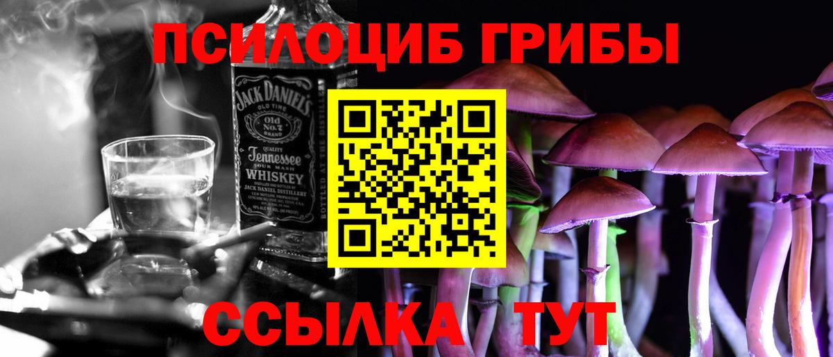 Галлюциногенные грибы Psilocybe  Вход с VPN  Владивосток  Псилоцибиновые грибы прущие грибы 