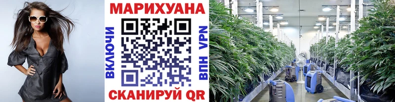 Бошки Шишки семена  Владивосток 